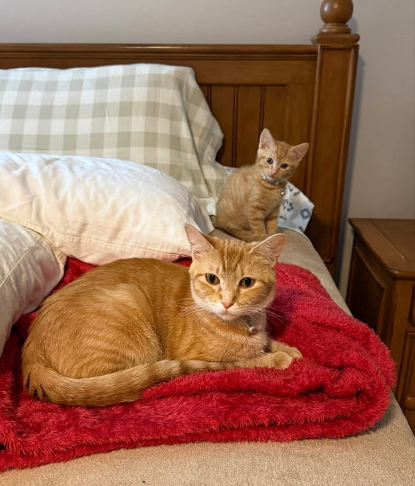Dutchess and Peaches