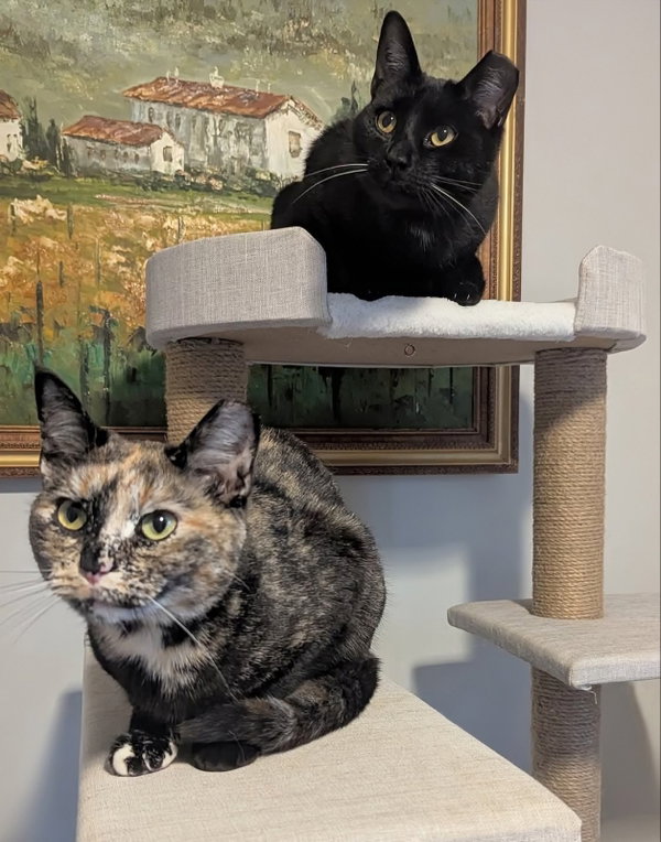 Jax and Minnie