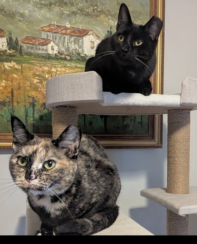 Jax and Minnie