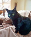 Mia - Photo 1
