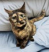 Cleo - Photo 1