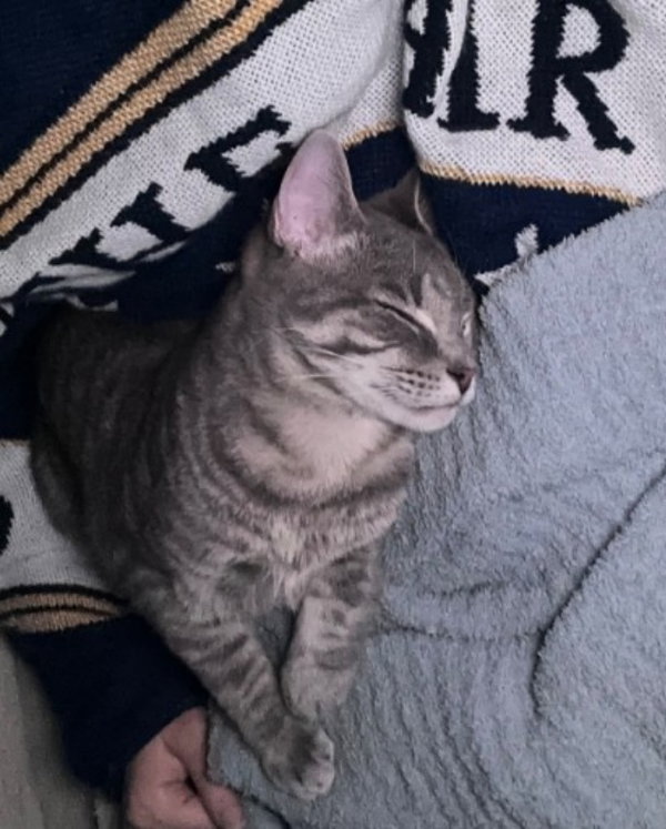 Remy