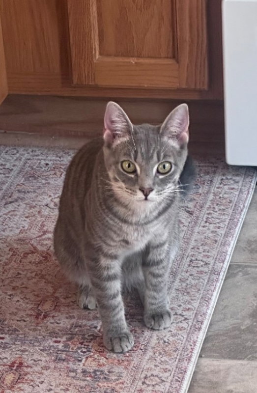 Remy