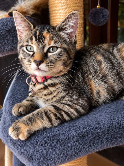 Photo 2 of Miss Elsa