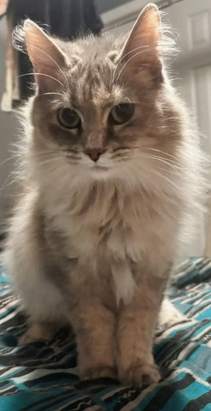 Freya photo 3