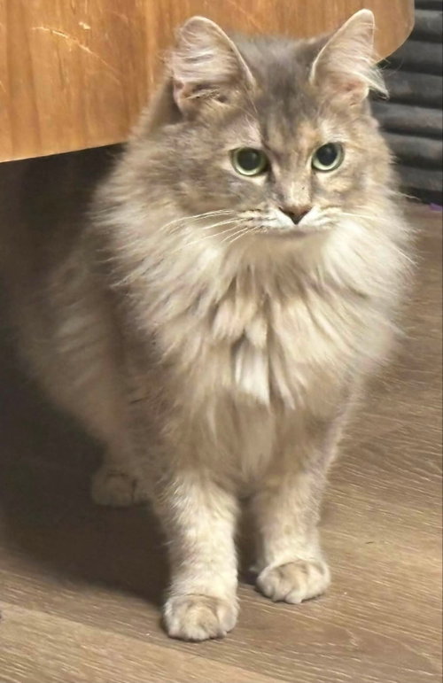 Freya photo 4