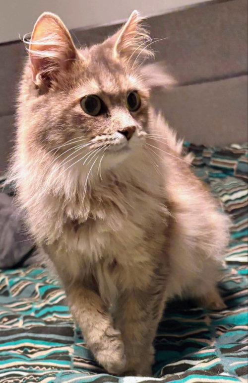 Freya photo 5