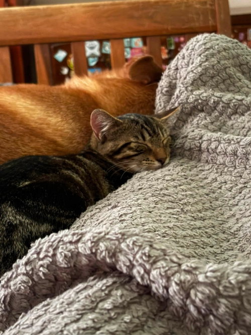 Photo 4 of Davita & Libby