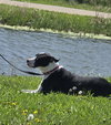 Mike - Photo 3