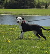 Chiron - Photo 4