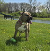 Elio - Photo 5