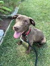 Emerson - Photo 1