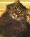 Madison