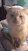 Gary