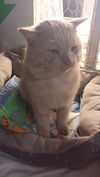 Gary