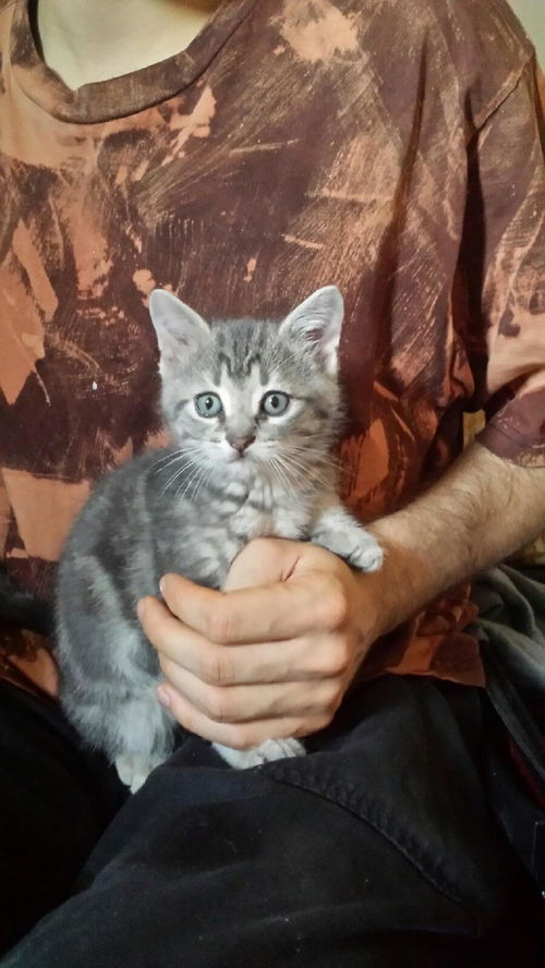 Jack-Baby