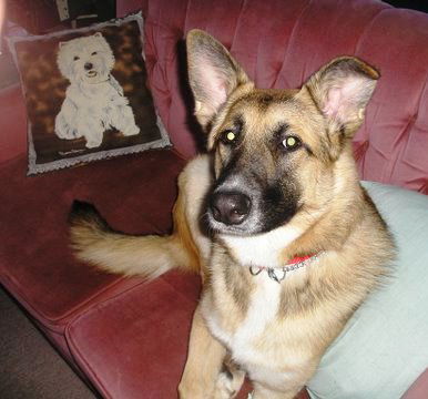Maggie