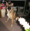 Maggie