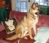 Maggie