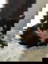Mailée