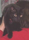 Wilbert