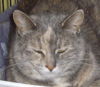 Maggie