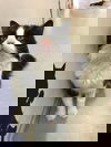 Oréo