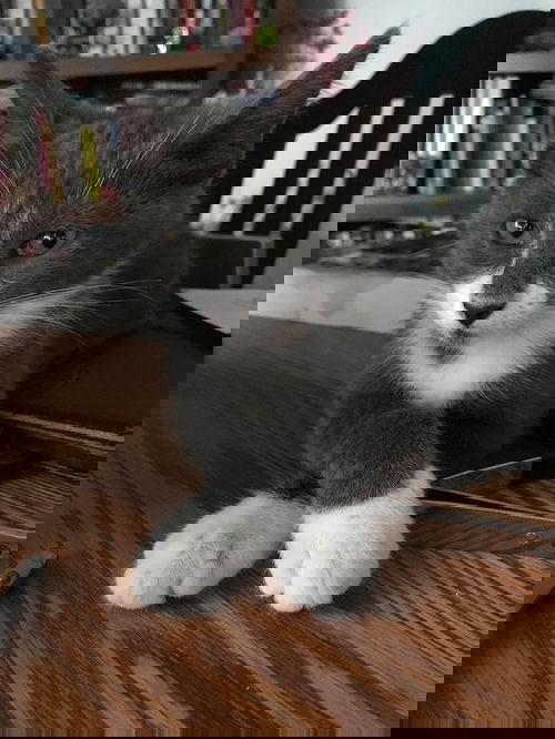 Onésime