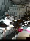 Juliette-3