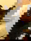 Salem