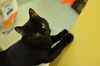Salem