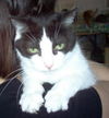 Agathe