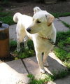 Maggie