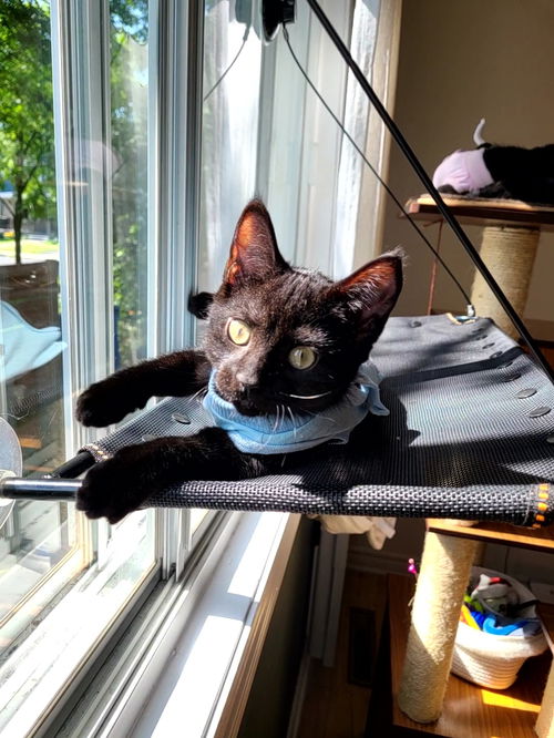 Maggie
