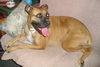 Baby Daisy