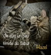 Hazel