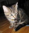 Martha
