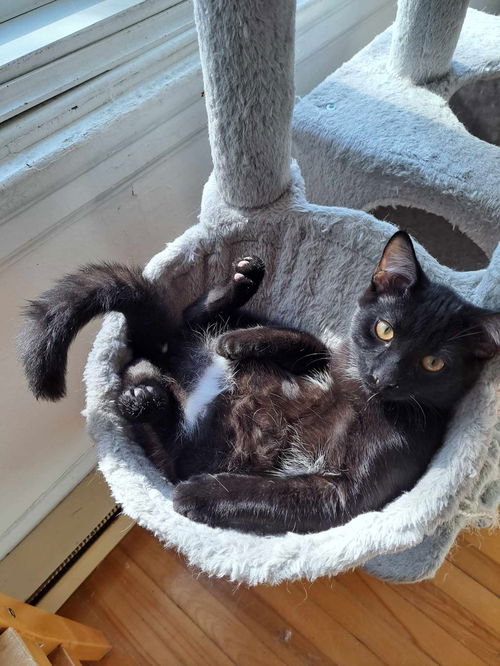 Jax