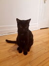 Jax