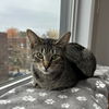 Amy