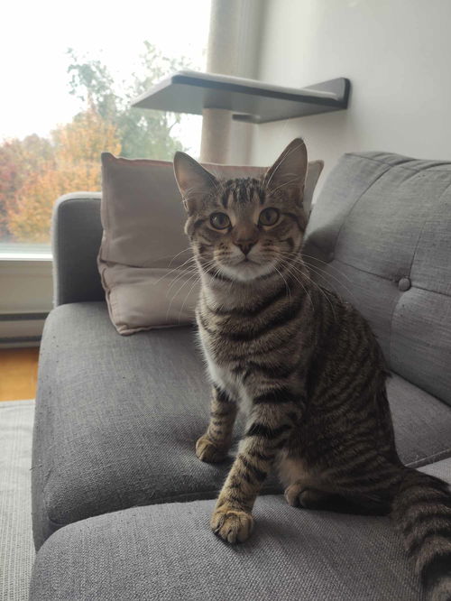 Léon