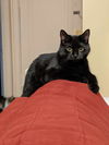 Salem
