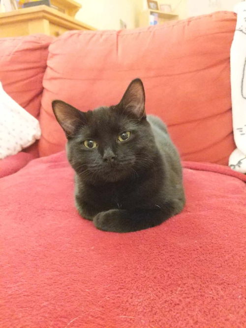 Salem
