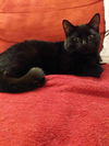 Salem