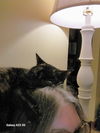 Lola