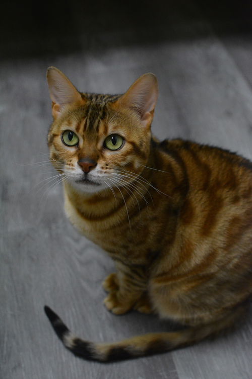 Suzie