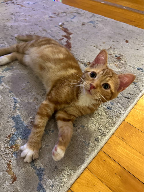 Caramel