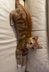 Caramel