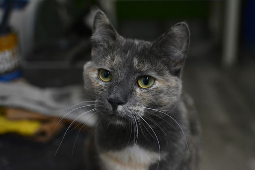 Edna