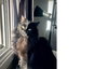 Milo - Photo 3